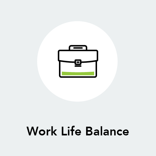 Work Life Balance Icon